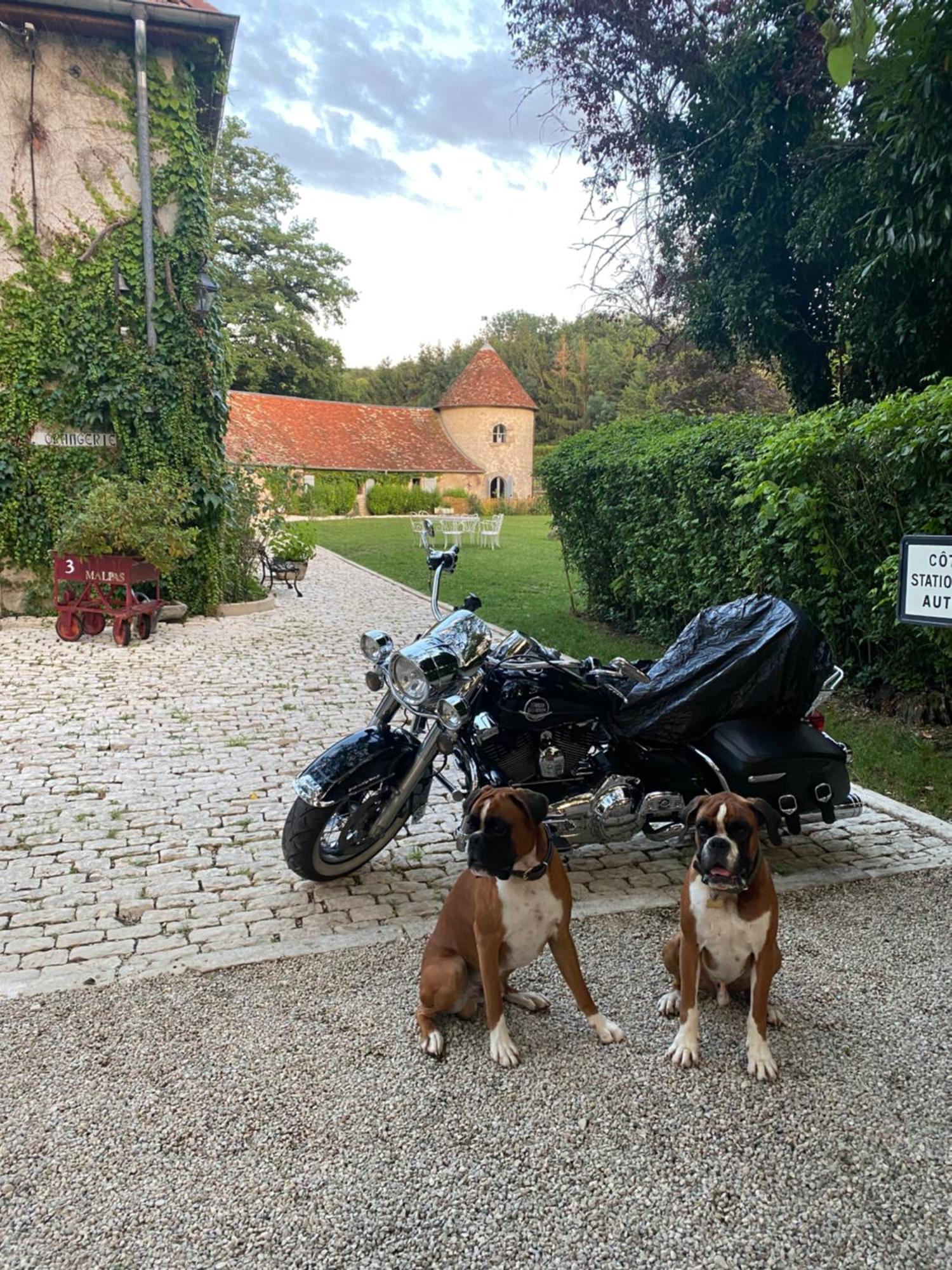 Le Colombier De Malpas Bed and Breakfast Quingey Eksteriør billede